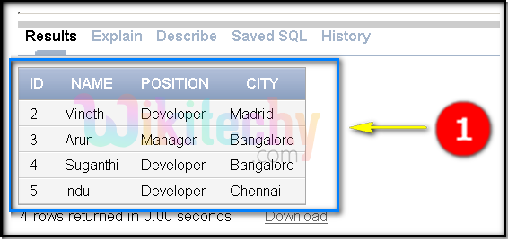  oracle delete output